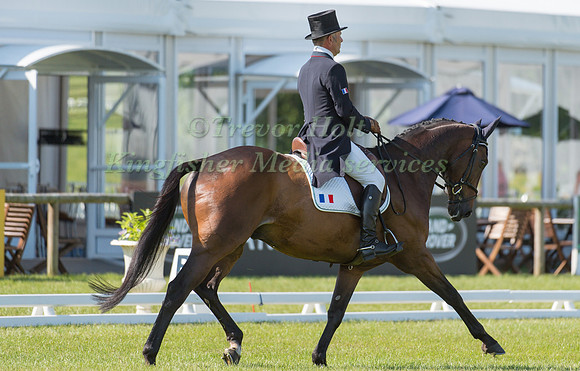 Denis Mesples (FRA) riding Oregon De La Vigne