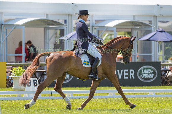 Anna Hilton (SWE) riding Matrix W