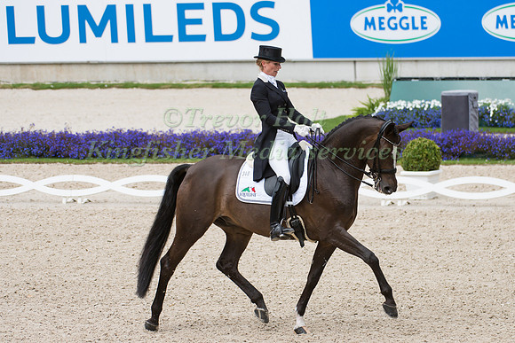 Isabel Freese (NOR) and Fuerst Levantino  taking part in the Prize of VUV - Vereinigte Unternehmerverbände Aachen Prix St. Georges CDI4*
