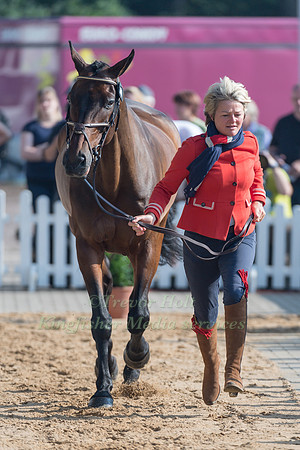 RACHEL ROBINSON (GBR) AND MJI LIMMERICK BELL