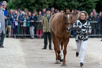 Pippa Funnell (GBR) and Redesigned