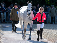 ASHLEY EDMOND  (GBR) AND  TRIPLE CHANCE