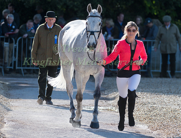 ASHLEY EDMOND  (GBR) AND  TRIPLE CHANCE