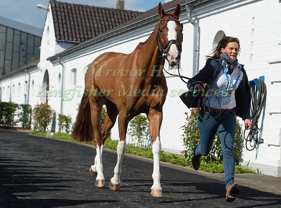 Sonja Johnson (AUS) and Parkiarrup Illicit Liaison