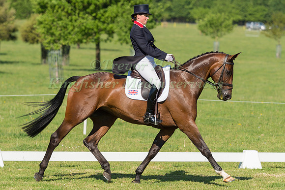 PIGGY FRENCH (GBR) RIDING VANIR KAMIRA IN THE DRESSAGE PHASE OF THE CICO THREE STAR AT THE 2017 HOUGHTON INTERNATIONAL HORSE TRIALS