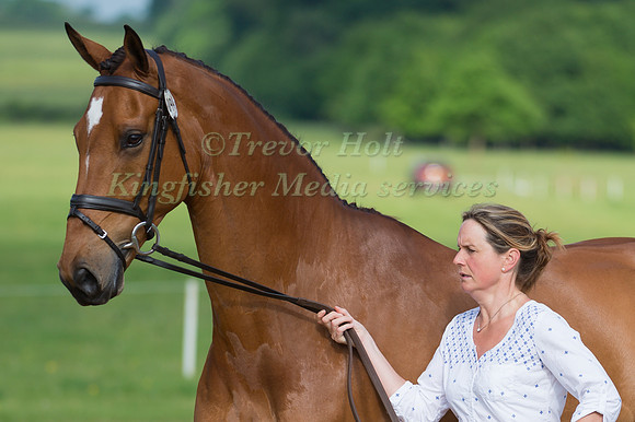 PIGGY FRENCH (GBR) AND COOLEY MONSOON AT THE HORSE INSPECTION
