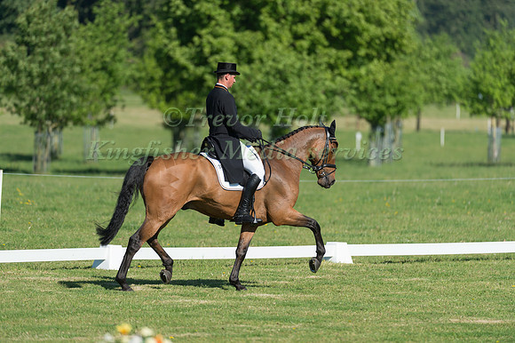 CHRISTOPH WAHLER (GER) RIDING GREEN MOUNT FLIGHT IN THE DRESSAGE PHASE OF THE CICO THREE STAR AT THE 2017 HOUGHTON INTERNATIONAL HORSE TRIALS