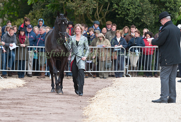 Nicola Wilson and Opposition Buzz