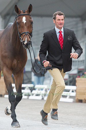 Mark Todd of New Zealand and NZB Campino