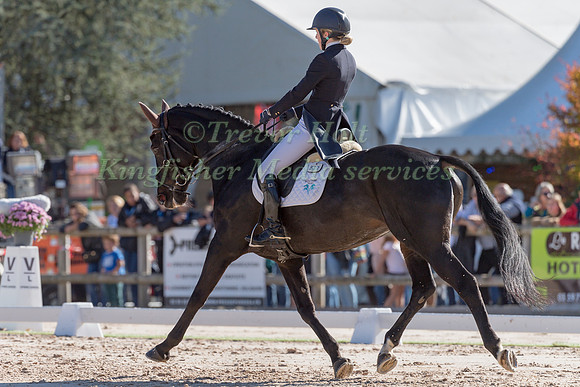 FELICITY COLLINS (GBR) ANDJUST AMAZING
