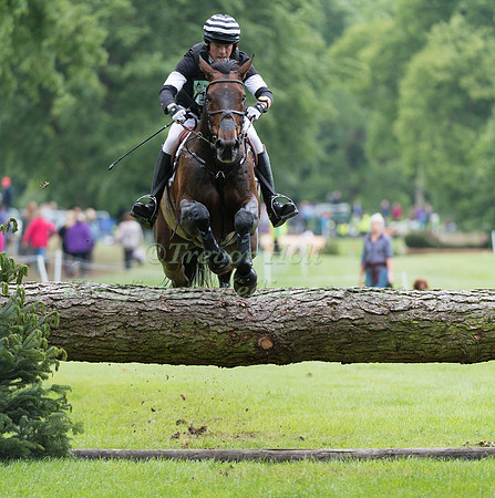 SIMON ASHWORTH (GBR) AND SUNNY III TAKING PART IN THE CROSS COUNTRY PHASE OF THE  CIC THREE STAR COMPETITION AT THE 2017 EQUI-TREK BRAMHAM INTERNATIONAL HORSE TRIALS