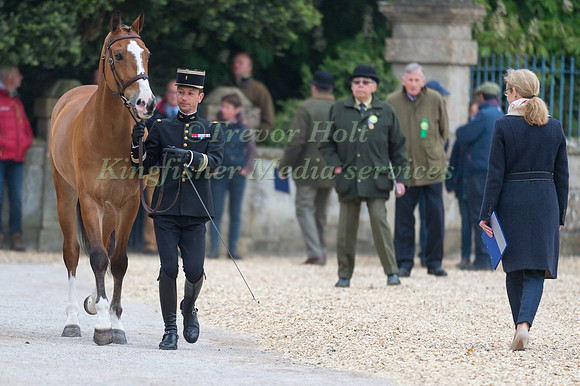 Thibaut Vallette (FRA) and Qing du Briot ENE HN at the Final  Horse Inspection of the 2017 Mitsubishi Motors Badminton Horse Trials