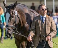 BEN HOBDAY (GBR) AND HARELAW WIZARD