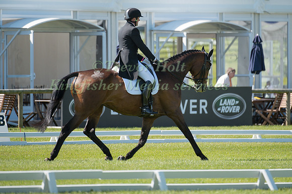 Alan Nolan (IRL) riding Bronze Flight