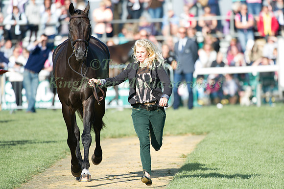 Jonelle Price (NZL) riding The Deputy taking part in the Show Jumping Phase