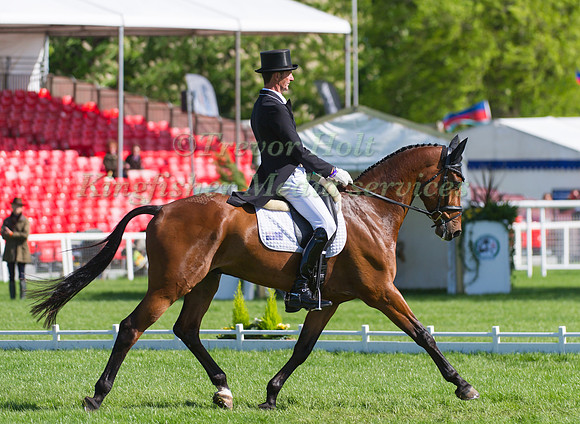 Mark Todd and Leonidas II
