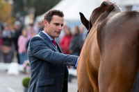Alexander BRAGG  (GBR) AND ZAGREB