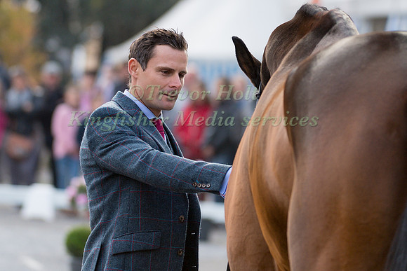 Alexander BRAGG  (GBR) AND ZAGREB