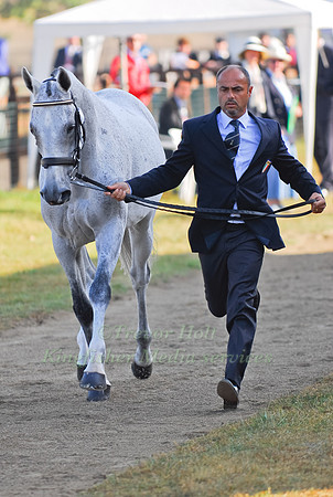 Fabio Magni and Loro Piana Southern King V