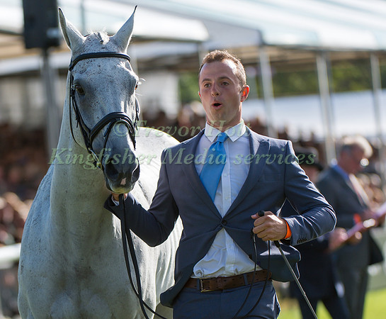 HARRY DZENIS (GBR) AND XAM