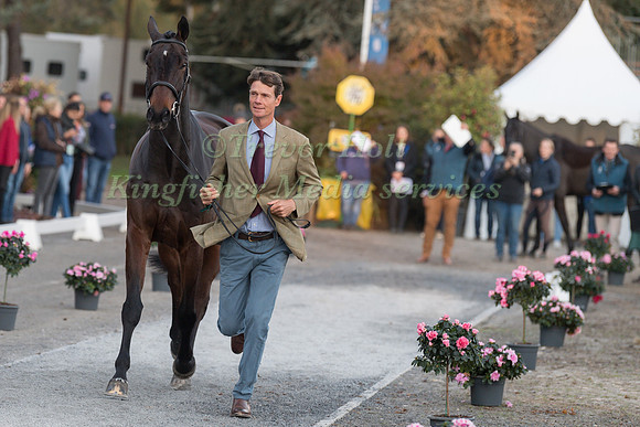 WILLIAM FOX - PITT AND LITTLE FIRE