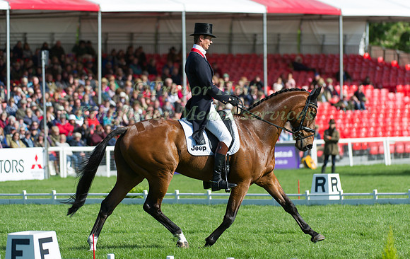 William Fox-Pitt and Parklane Hawk