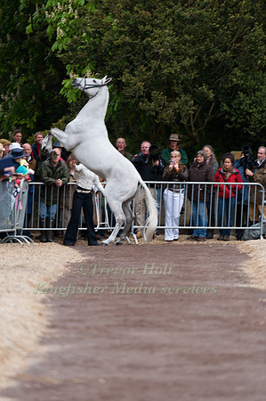 Caroline Powell and Lenamore