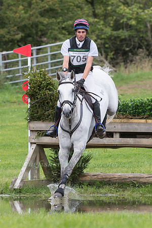HECTOR PAYNE RIDING  DYNASTY