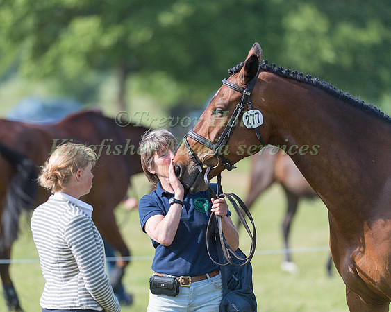 SARAH CHARNLEY AND REHY ROYAL DIAMOND