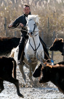 A Guardian competing in the handling test