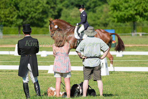 WATCHING THE IN THE DRESSAGE PHASE OF THE CICO THREE STAR AT THE 2017 HOUGHTON INTERNATIONAL HORSE TRIALS