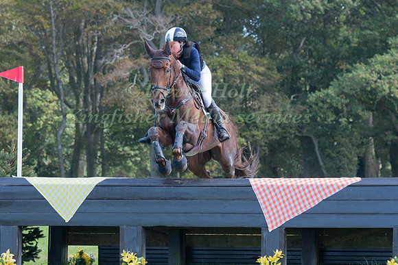 HOLLIE SWAIN AND SOLO XII