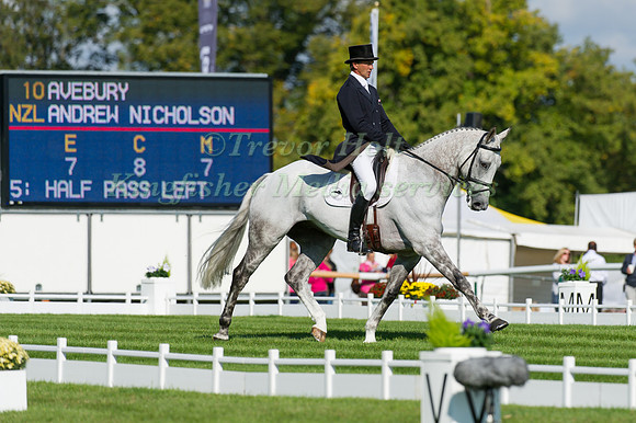 Andrew Nicholson and Avebury