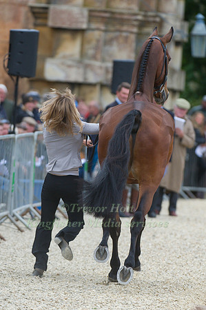 Louisa Lockwood and Ballyfarris Flight