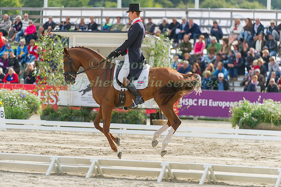 William Fox-Pitt and Chilli Morning