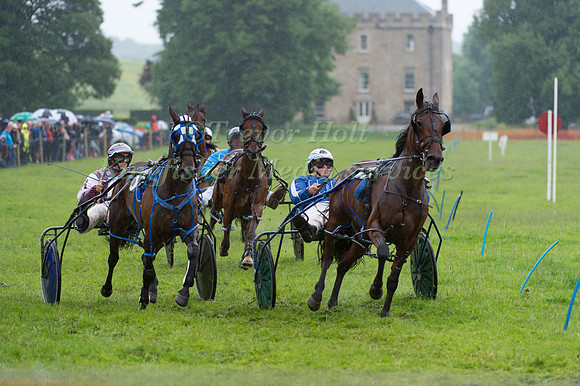 Helifield Harness Racing
