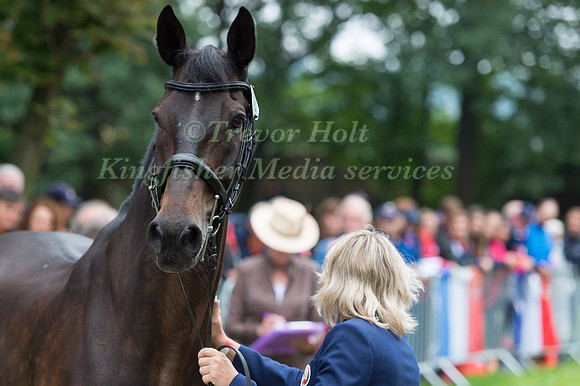 ALENA TSELIAPUSHKINA (BLR)  AND PASSAT