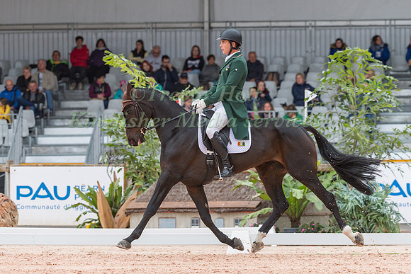 PADRAIG  MCCARTHY AND FALLULAH