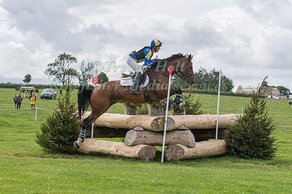 TYLER CASSELLS RIDING  J ADORE SALSA