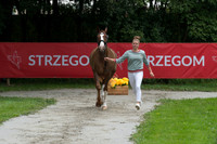 CECILIE ERIKSEN (DEN) AND CALVIN) AND CALVIN
