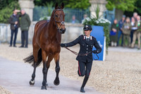 Arianna Schivo (ITA) and Quefira de l'Ormeau