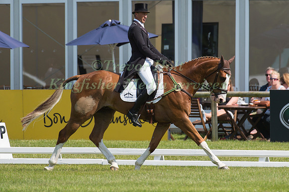 Andrew Nicholson (NZL) riding Perfect Stranger