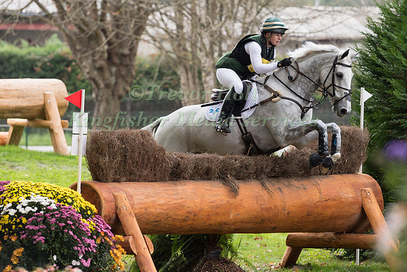Nicky RONCORONI (GBR) AND STONEDGE