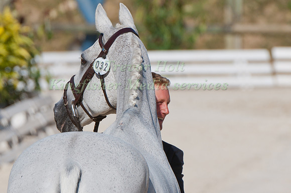 Oliver Townend and Flint Curtis