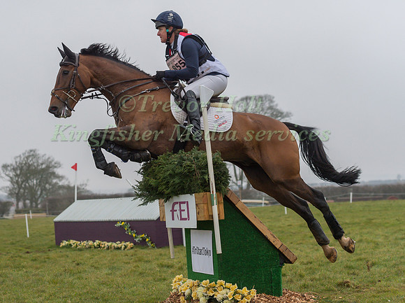 KRISTINA COOK  RIDING CALVINO II