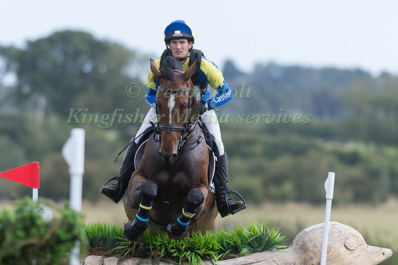 TYLER CASSELLS RIDING  J ADORE SALSA