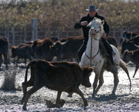 A Guardian competing in the handling test