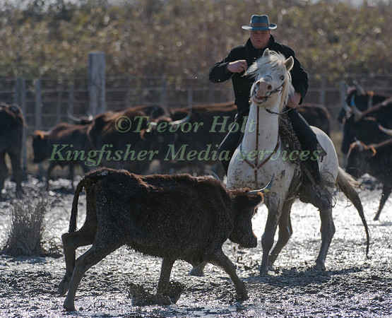 A Guardian competing in the handling test