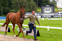 Michael Ryan of Ireland with Ballylynch Adventure