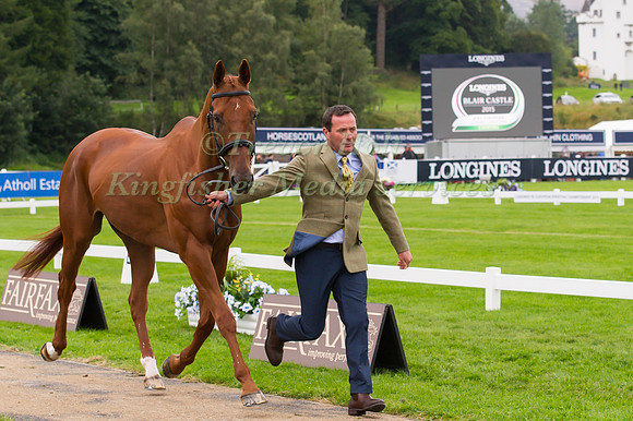 Michael Ryan of Ireland with Ballylynch Adventure